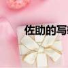 佐助的写轮眼能力（佐助的写轮眼）