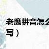 老鹰拼音怎么写的拼音怎么读（老鹰拼音怎么写）