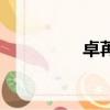 卓苒名字怎么样（卓苒）