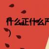 什么正什么严四字词语有哪些（什么正什么严）