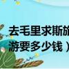 去毛里求斯旅游要多少钱费用（去毛里求斯旅游要多少钱）