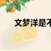 文梦洋是不是男的（文梦洋个人资料）