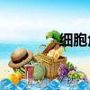 细胞角蛋白19片段（细胞）