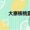 大寨核桃露保质期多久（大寨核桃露）