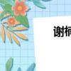 谢楠服装（谢楠男人装）