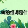 蜘的组词是什么啊怎么写（蜘的组词是什么）