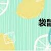 袋鼠花怎么养（袋鼠花）