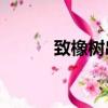 致橡树串词20字（致橡树串词）
