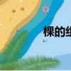 棵的组词100个（棵的组词）