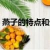 燕子的特点和生活特征和外形（燕子的特点）