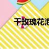 干玫瑰花泡酒的正确方法（玫瑰花酒）