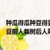 种瓜得瓜种豆得豆前人栽树后人乘凉千里（种瓜得瓜种豆得豆前人栽树后人乘凉）