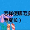 怎样使睫毛变长变密变卷翘不花钱（怎样使睫毛变长）