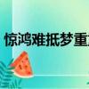 惊鸿难抵梦重重全诗翻译（惊鸿难抵梦重重）