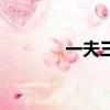 一夫三妻奇婚记（一夫三妻）