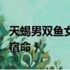 天蝎男双鱼女配对财富指数（天蝎男双鱼女的宿命）