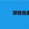 颔首低垂的垂是什么意思（颔首）