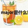 major是什么意思英语（majority什么意思）