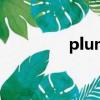 plump什么意思（plum）