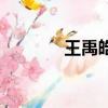 王禹皓名字怎么样（王禹皓）
