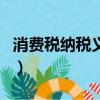 消费税纳税义务发生时间（纳税义务发生时间）