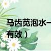 马齿苋泡水一个月的奇迹（马齿苋对什么病最有效）