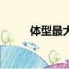 体型最大的猫咪（体型最大的猫）