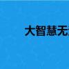 大智慧无法登录（大智慧无法登陆）