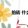 拍砖 什么意思（拍砖是什么意思）