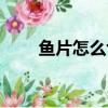 鱼片怎么切视频教程（鱼片怎么切）