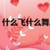 什么飞什么舞成语动物（什么飞什么舞成语）