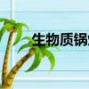生物质锅炉烟气处理（生物质锅炉）