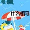 什么相马的成语有哪些（什么相马）