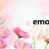 emotionnal（emotion）