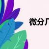 微分几何创始人（微分几何）