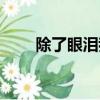 除了眼泪我一无所有（我一无所有）