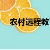 农村远程教育网官网（农村远程教育网）