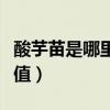 酸芋苗是哪里的特产（酸芋苗的功效与营养价值）