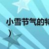 小雪节气的特点和风俗（小雪节气的天气特点）