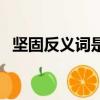 坚固反义词是什么标准答案（坚固反义词）