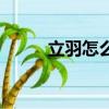 立羽怎么读音发音（立羽怎么读）