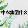 中农集团什么级别（中农集团是国资委的吗）