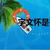 宇文怀是宇文席的儿子吗（宇文怀）