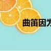 曲笛因为昆曲伴奏而得名（曲笛）