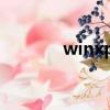 winxp中文（xp中文语言包）