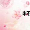 米石led大灯（米石led）