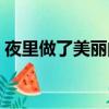 夜里做了美丽的梦简谱（夜里做了美丽的梦）