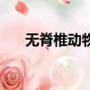 无脊椎动物的进化顺序（无脊椎动物）