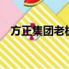 方正集团老板有9个孩子视频（方正集团）