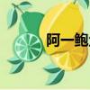 阿一鲍鱼菜单价格（阿一鲍鱼）